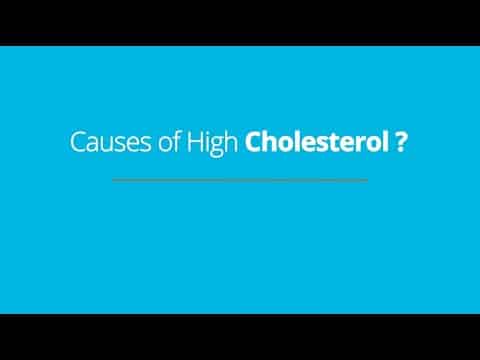 Managing Cholesterol
